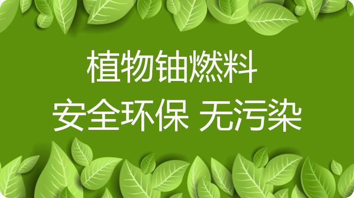 植物油燃料是國家認(rèn)可的一個新能源項(xiàng)目,植物油燃料很有市場的